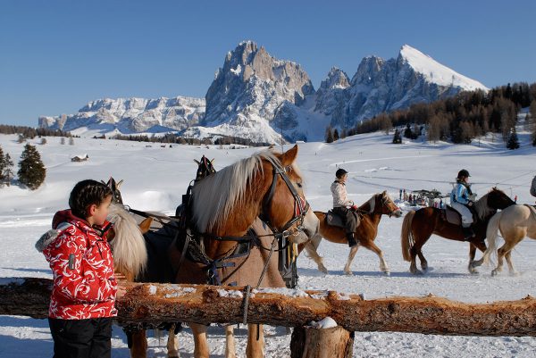 Reiten im Winter auf der Seiser Alm